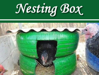 DIY Old Tire Nesting Box