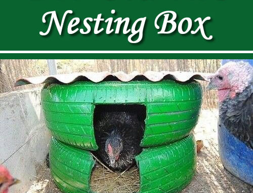 DIY Old Tire Nesting Box