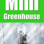 DIY Soda Bottle Mini Greenhouses
