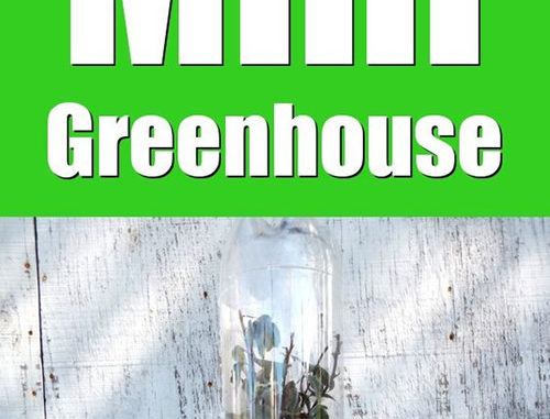 DIY Soda Bottle Mini Greenhouses