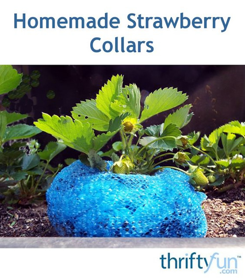 Homemade Strawberry Collars