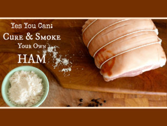 How To Cure Your Own Ham