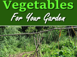 8 Self Seeding Vegetables For Your Garden