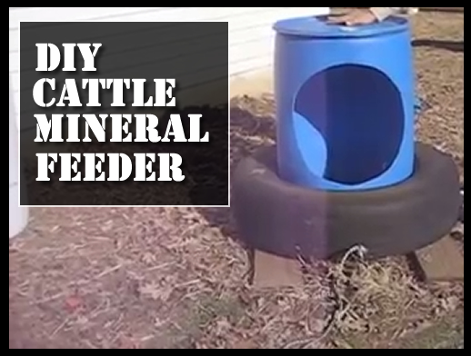 DIY Cattle Mineral Feeder