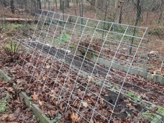 DIY Cattle Panel Trellis
