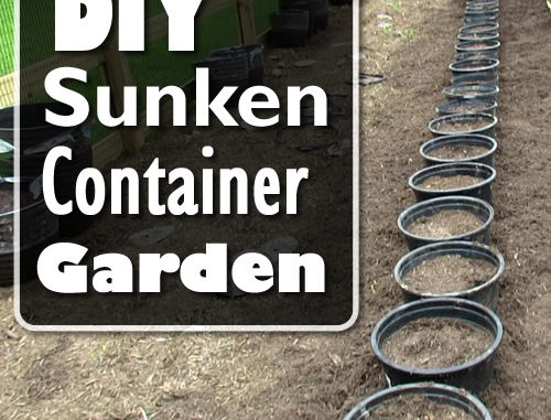 DIY Sunken Container Garden