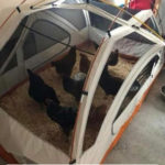 DIY Tent Chicken Coop