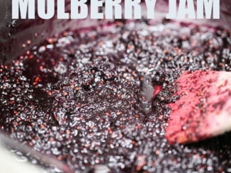 How To Make Mulberry Jam