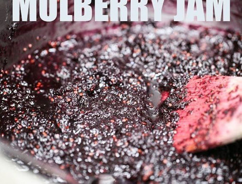 How To Make Mulberry Jam