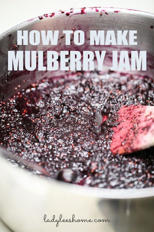 How To Make Mulberry Jam
