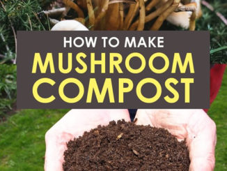 How To Make Mushroom Compost