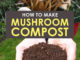 How To Make Mushroom Compost