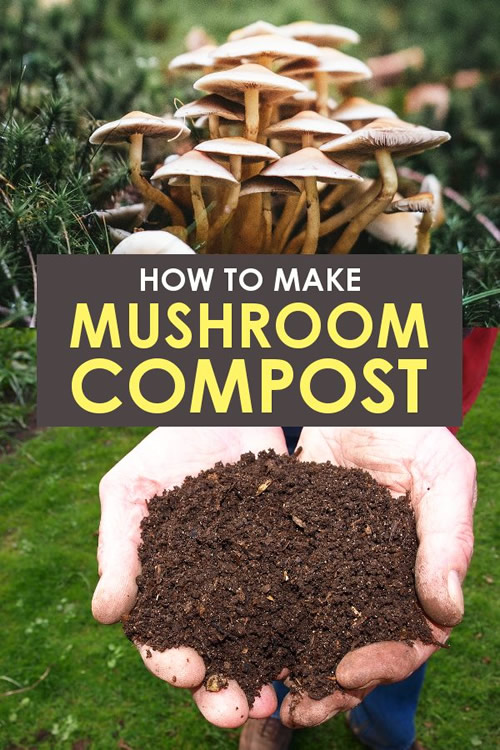 How To Make Mushroom Compost