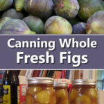 Canning Whole Fresh Figs