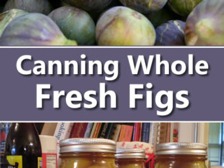 Canning Whole Fresh Figs