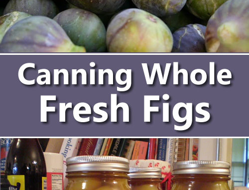Canning Whole Fresh Figs