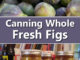 Canning Whole Fresh Figs