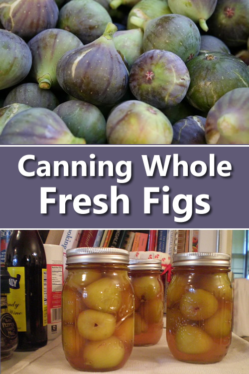 Canning Whole Fresh Figs