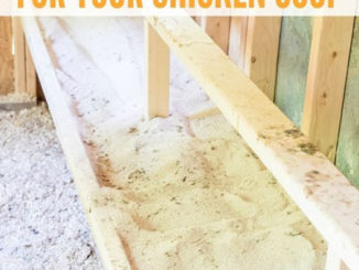 DIY Chicken Coop Poop Board