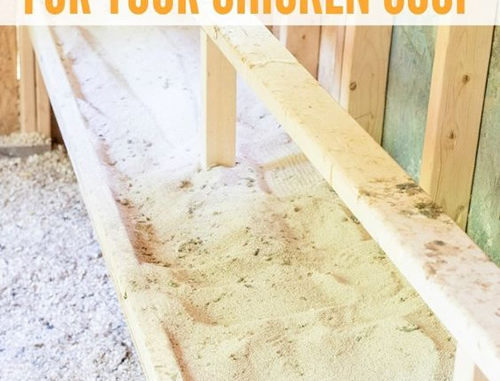 DIY Chicken Coop Poop Board