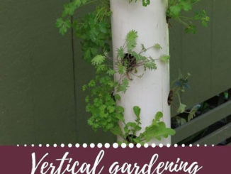 DIY PVC Vertical Salad Tower
