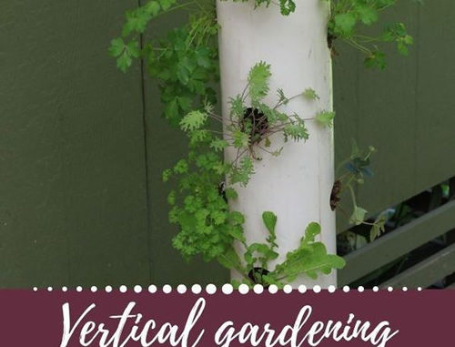 DIY PVC Vertical Salad Tower