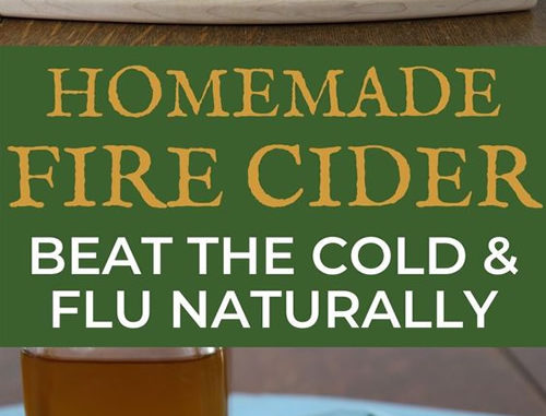 Homemade Fire Cider Recipe