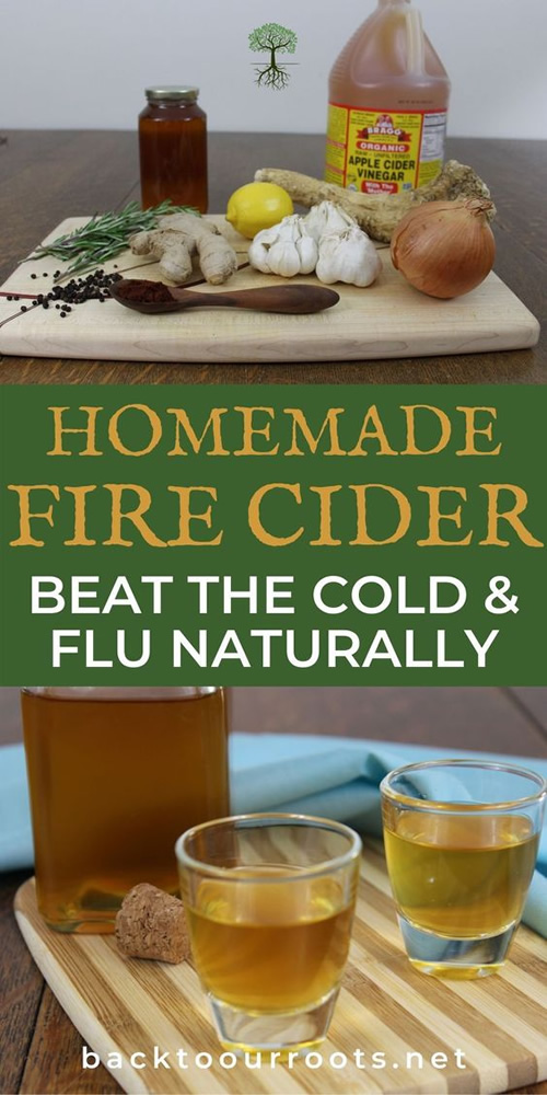 Homemade Fire Cider Recipe