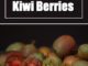 How To Grow Kiwi Berries