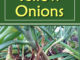 How To Grow Yellow Onions