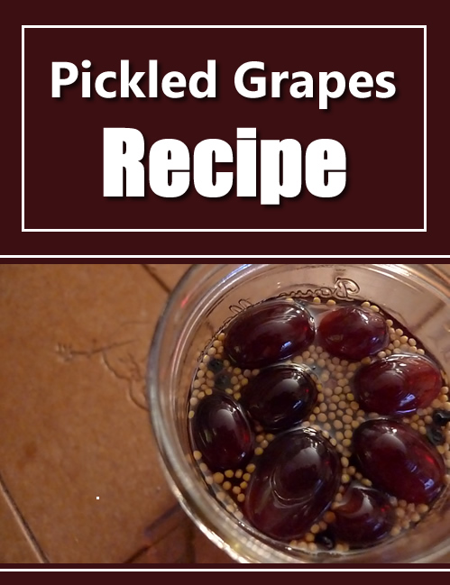 Pickled Grapes Recipe