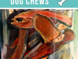 Homemade Natural Dog Chews Recipe