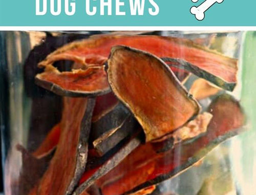 Homemade Natural Dog Chews Recipe