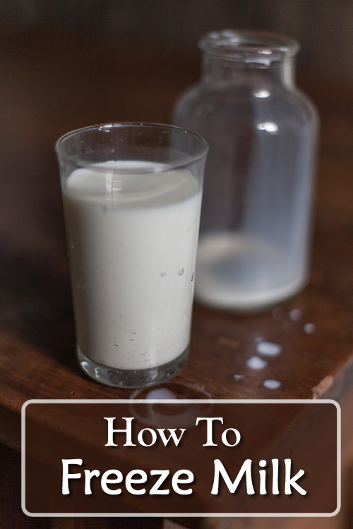 How To Freeze Milk