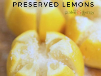 Preserved Lemons Recipe