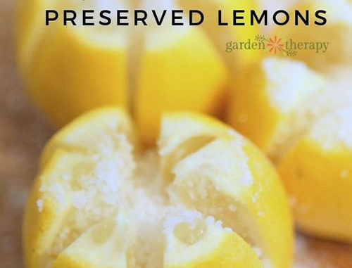 Preserved Lemons Recipe
