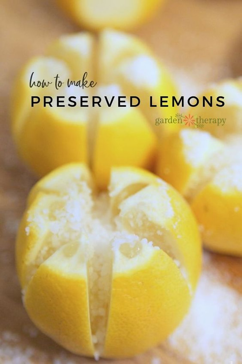 Preserved Lemons Recipe