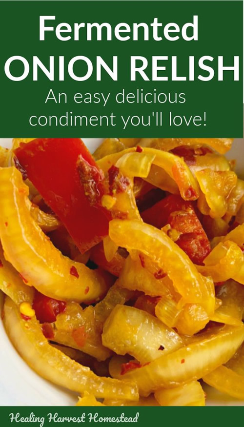 Fermented Onion Relish Recipe
