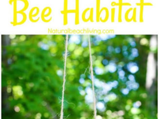 DIY Mason Bee Habitat