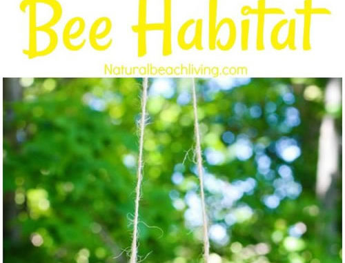 DIY Mason Bee Habitat
