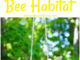 DIY Mason Bee Habitat