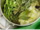 Immune Boosting Herb Stock