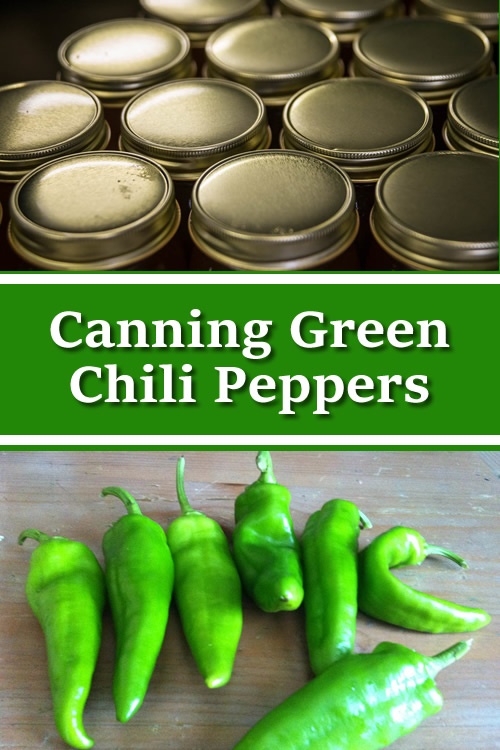 Canning Green Chili Peppers