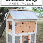 DIY Small Chicken Coop Plans