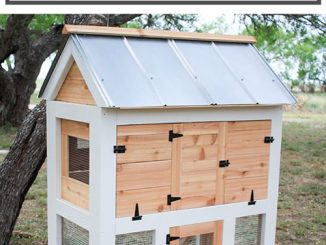 DIY Small Chicken Coop Plans