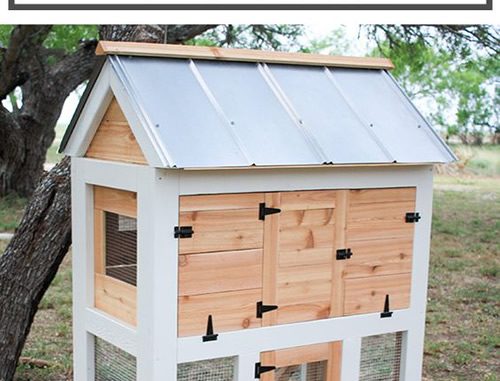 DIY Small Chicken Coop Plans
