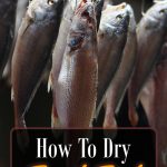 How To Dry Fish