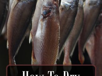 How To Dry Fish