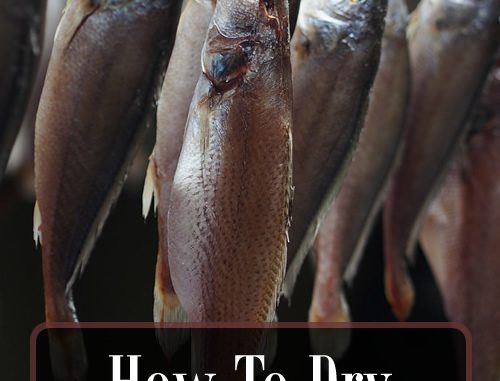 How To Dry Fish
