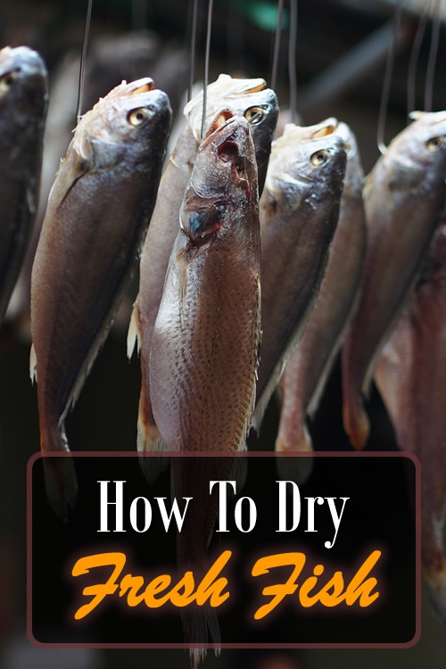How To Dry Fish